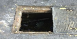 Sin tapadera un registro de teléfonos en Cañadas