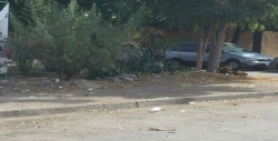 Limpian área verde en Infonavit Humaya