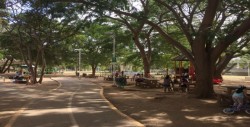 Familias aprovechan día de asueto