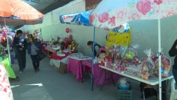 Analizan instalación de la verbena del amor