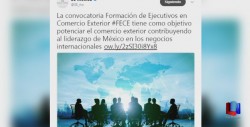 ProMéxico otorga apoyo económico a profesionistas egresados