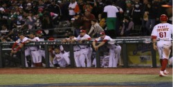 Tomateros eliminados de la Serie del Caribe