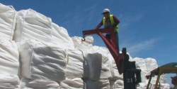 Mejora Sinaloa en los indicadores de Desarrollo Económico