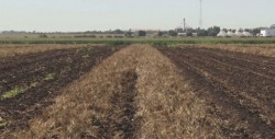 Ministerio de Agricultura interesados en Sinaloa