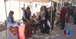 Realizan Feria de Salud en la 410