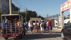 Aurigas de las más solicitadas en Carnaval