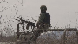 Disminuye siembra de marihuana en Sinaloa: SEDENA