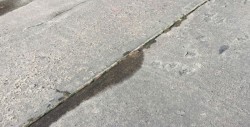 Sigue fuga de agua por calle Cerro La Campana