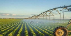 El agro, transporte y construcción los de mayor crecimiento en un año
