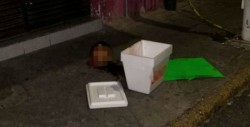 Dejan cabeza humana en el centro de Guadalajara