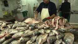 Lista de precios de pescados debe estar visible para evitar abusos