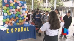 Realizan rally de conocimiento