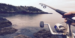 Ambientalistas recogen firmas para detener pesca de arrastre en Costa Rica