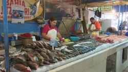 Coepris revisa puestos de pescados y maricos