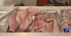 Brindan recomendaciones para esta cuaresma