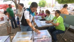 Llaman a ciudadanos a mantenerse vigilantes en el proceso electoral