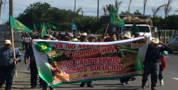 Se movilizan Productores de la Unión Nacional de Trabajadores Agrícolas