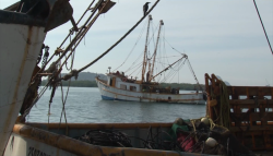 Satanizado el sector pesquero: CANAINPESCA