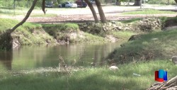 Buscan revivir el Río Mayo