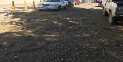 Totalmente destrozada la calle Girasoles en Terranova