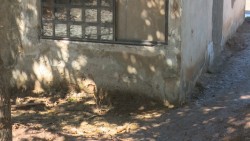 Temen que sus casas se vengan abajo
