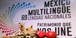Hablantes de lenguas maternas se adaptan para subsistir