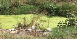Tiran basura en arroyo de la 7 gotas