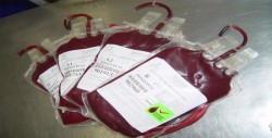 Mercado negro de la sangre se abre paso en hospitales públicos de Venezuela