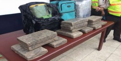 Decomisan en Ecuador 420 bloques de marihuana