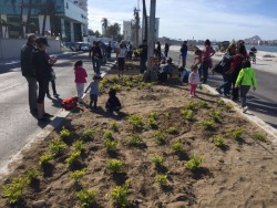 Fomentan el cuidado al medio ambiente