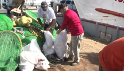 Último viaje de pesca