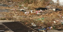 Con bastante basura en calle Joaquín Berlanga