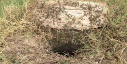 Alcantarilla destapada en la colonia PEMEX