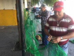 Se quedan sin trabajo