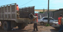 Anuncian campaña nacional de prevención del dengue
