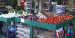 Disminuyen 20% ventas