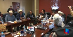 No habrá segundos cultivos