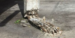 Poste carcomido en su concreto en la Miguel Hidalgo