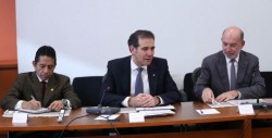 Aprobarán el 29 de marzo registro de candidatos independientes