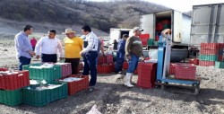 Cooperativas pesqueras de Bacurato son Modelo Nacional en organización y productividad