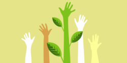 #Trivia ¿Cuánto sabes del medio ambiente?