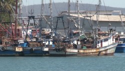 Gestionará Alcalde empleo temporal para pescadores