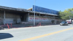 Lote baldío de pepsi vieja, foco de infección: Canirac