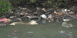 Falta de cultura ambiental, principal problemática: Ecología
