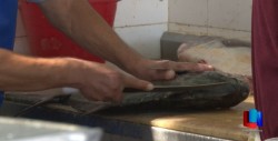 Incrementan ventas de mariscos