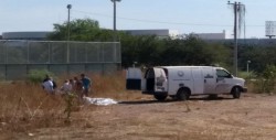Encuentran a joven asesinado a golpes