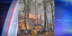 Pronostican temporada mas intensa de incendios