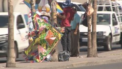 Llegan los papalotes para semana santa