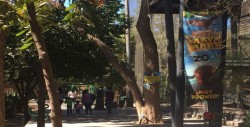 Familias aprovechan el fin de semana largo