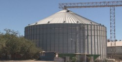 Piden frijoleros revisar inventarios de bodegueros